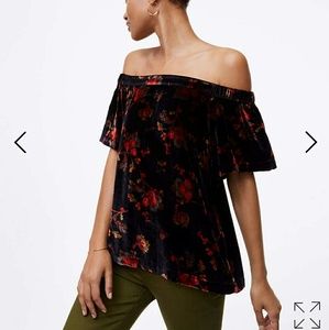 Loft - Floral Velvet Top